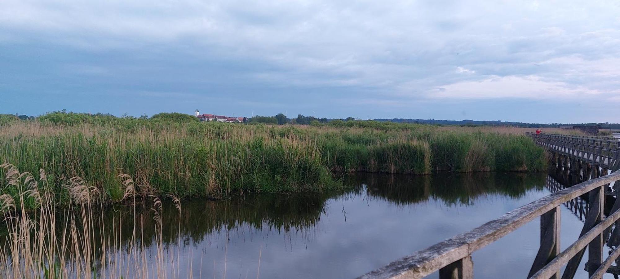 Gaestehaus Federseeflair Bad Buchau Exteriör bild